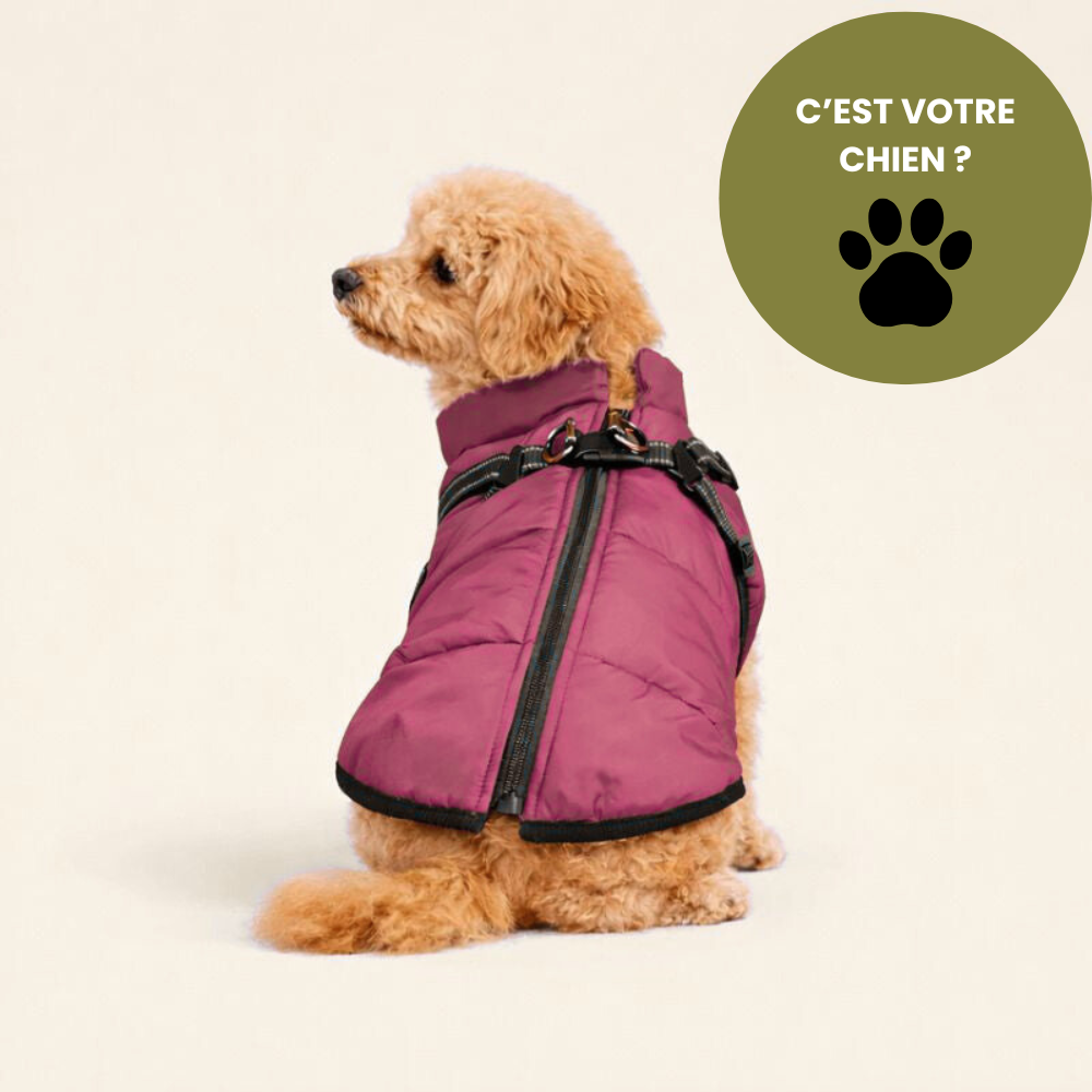 BALADE® - Manteau d'hiver 3 en 1