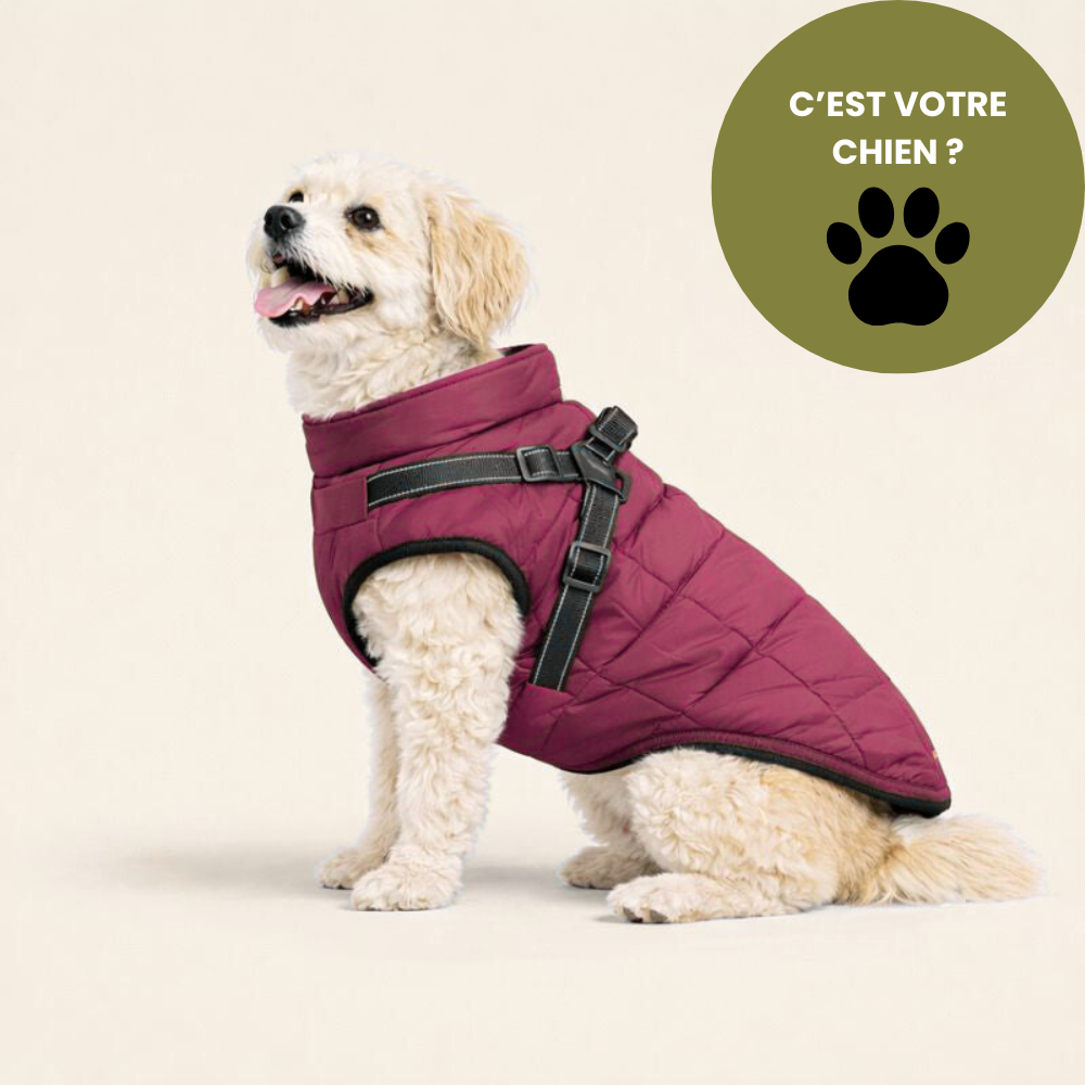 BALADE® - Manteau d'hiver 3 en 1