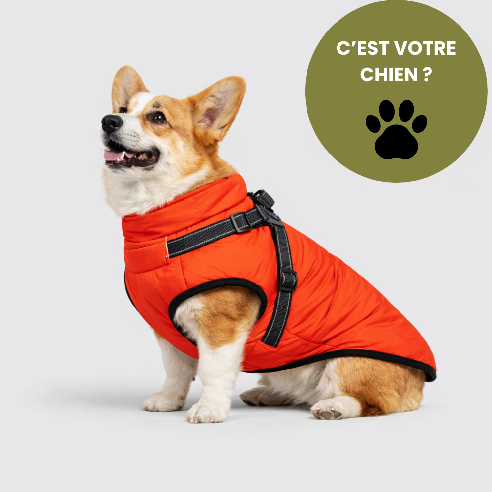 BALADE® - Manteau d'hiver 3 en 1