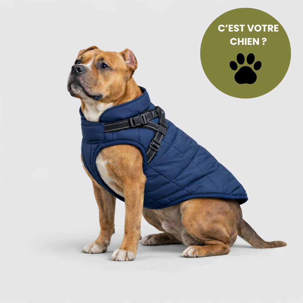 BALADE® - Manteau d'hiver 3 en 1