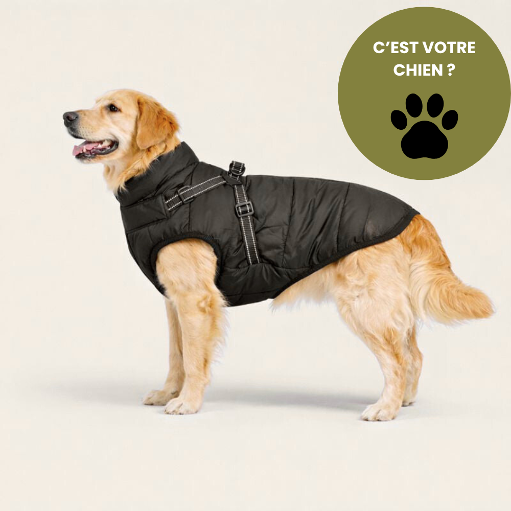 BALADE® - Manteau d'hiver 3 en 1