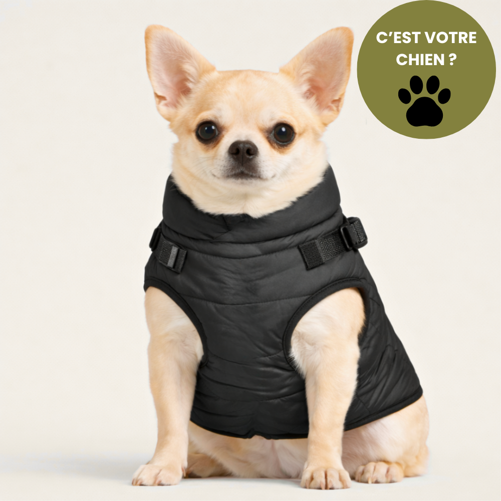 BALADE® - Manteau d'hiver 3 en 1